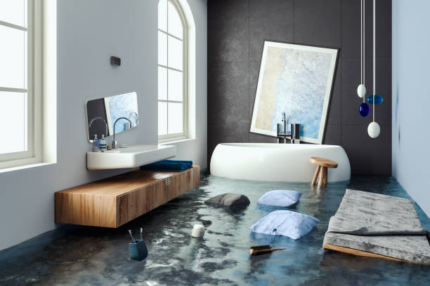 Best Water damage contractors near me  in North Barrington, IL