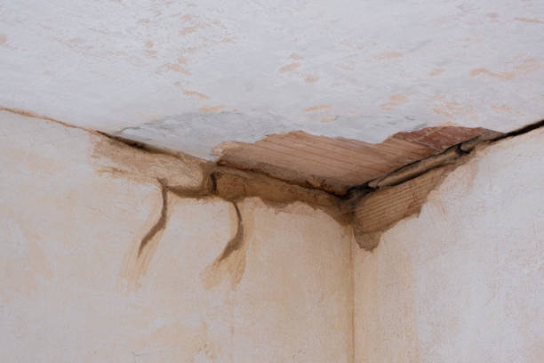 Best Flood damage cleanup  in North Barrington, IL