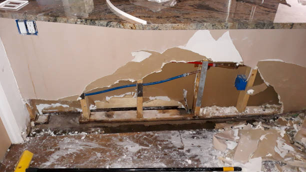 Best Flood restoration services  in North Barrington, IL