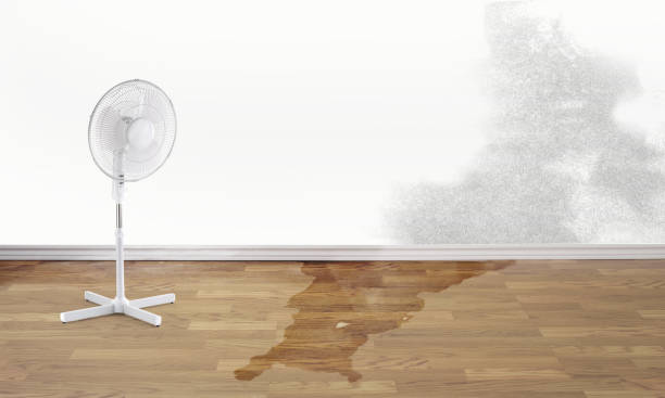 Best Water damage cleanup near me  in North Barrington, IL