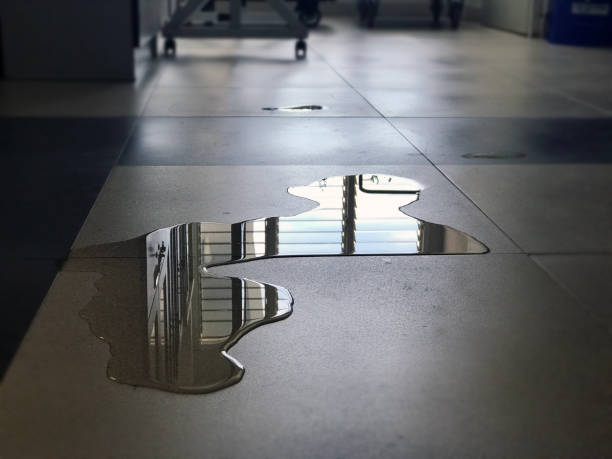 Best Water damage restoration company  in North Barrington, IL