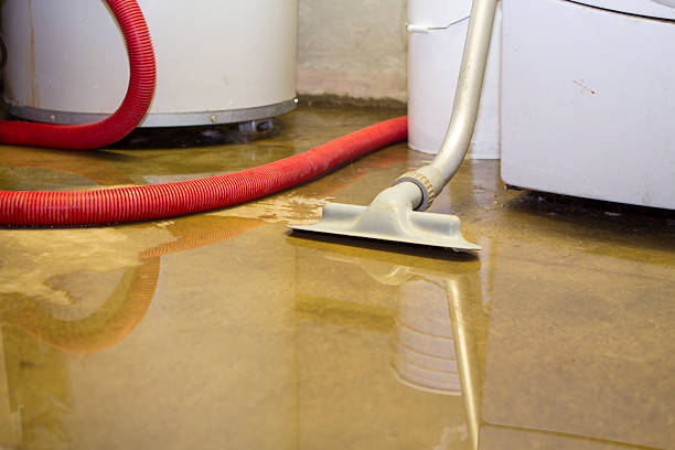 Best Water damage restoration near me  in North Barrington, IL