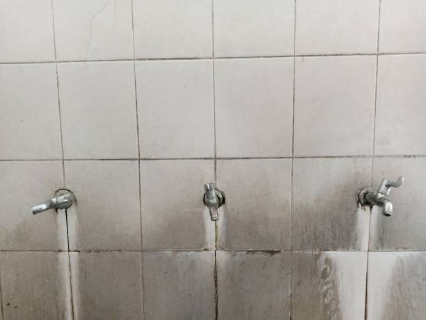 Best Water damage restoration cost  in North Barrington, IL