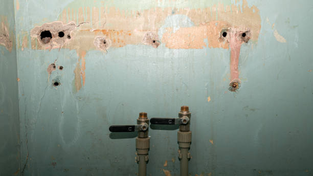 Best Basement water damage restoration  in North Barrington, IL