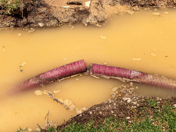 Best Residential water damage restoration  in North Barrington, IL