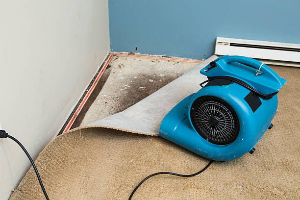 Best Fire Damage Restoration  in North Barrington, IL